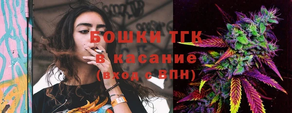 прущие крисы Каменка