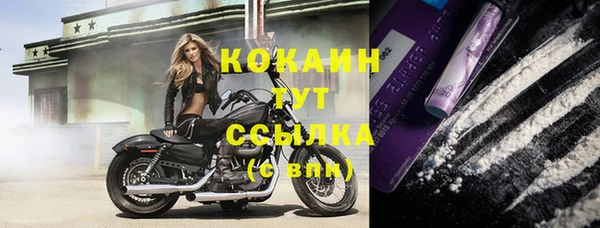 мяу мяу мука Каменск-Шахтинский
