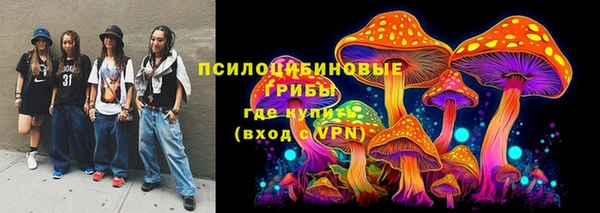 мдпв Карталы